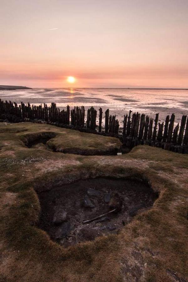 Vissershuisje Aan De Waddenzee Paesens المظهر الخارجي الصورة