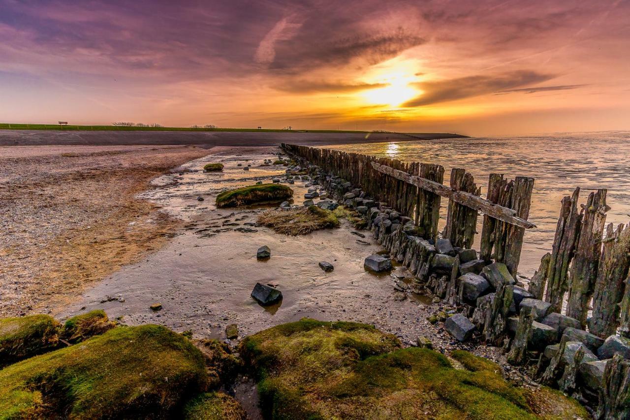 Vissershuisje Aan De Waddenzee Paesens المظهر الخارجي الصورة